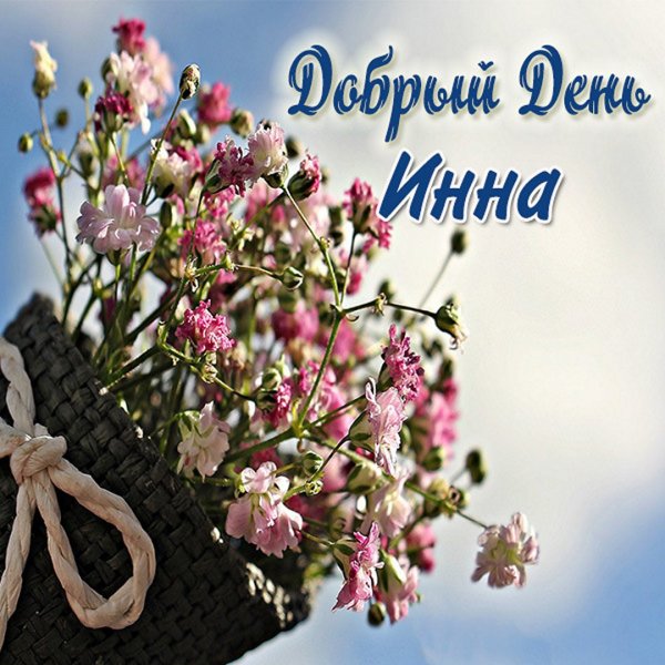 Добрый день Наталья