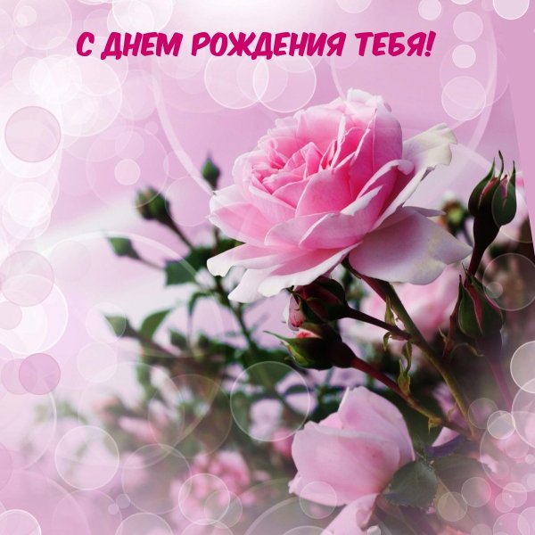 Гифка с цветами с днем рождения