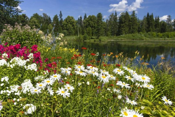 Летние пейзажи природы