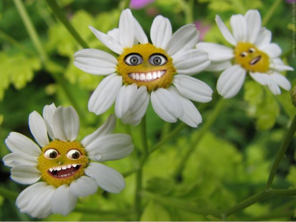 Фиолетовый макияж