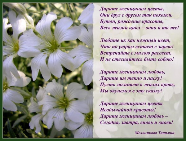 Стихи про цветы красивые