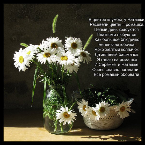 Стихи про цветы