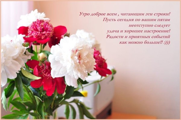 Утренние цветы с пожеланиями