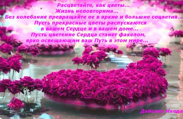 Красивые слова про цветы