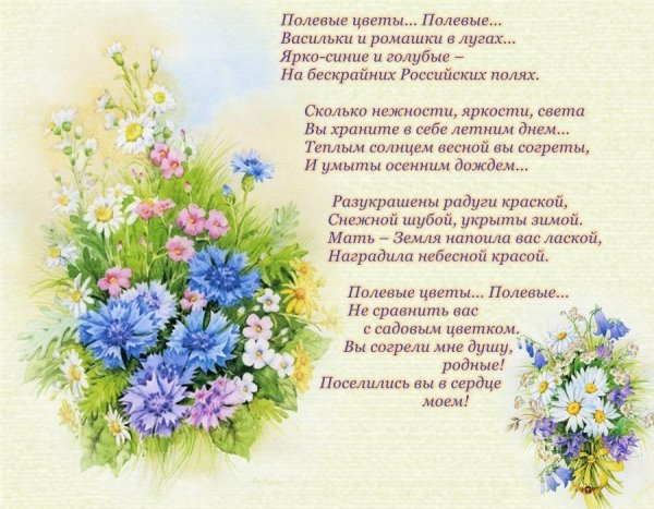Красивые стихи о полевых цветах