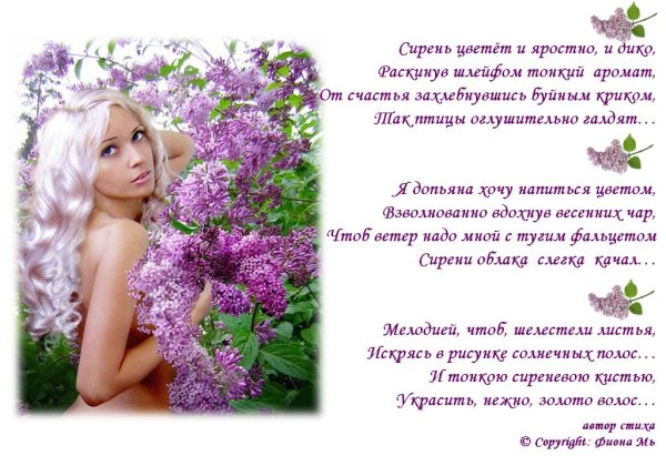 Стихи про сирень