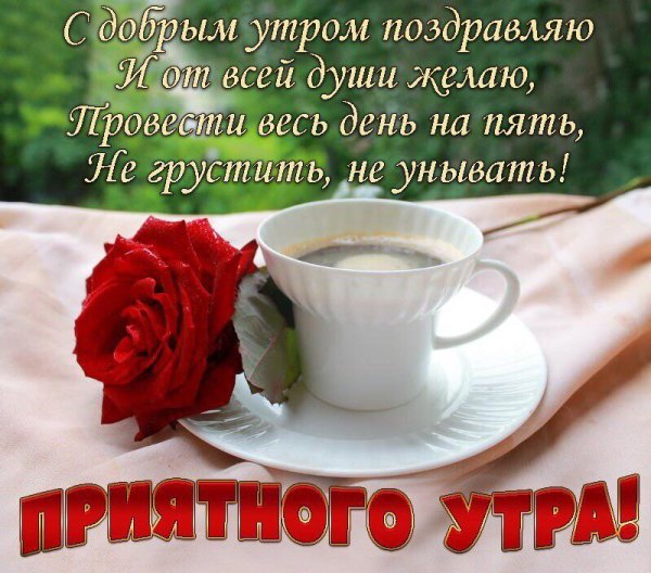 Стихи с добрым утром хорошему человеку