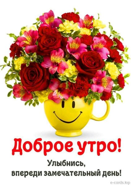 С добрым утром цветы красивые