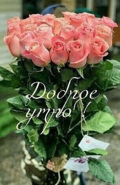 Утренний букет
