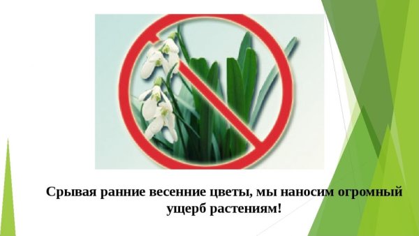 Знак не рвать цветы