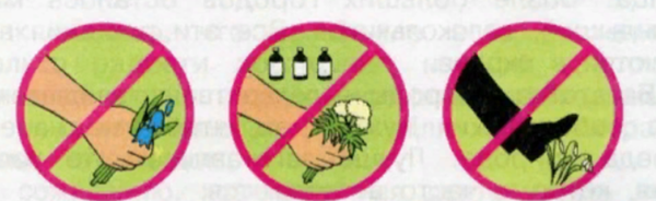 Знаки природы