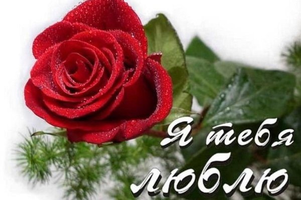 Красивые стихи девушке