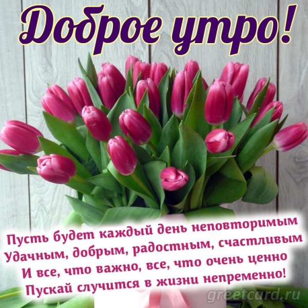 Доброе утро пожелания красивые необычные