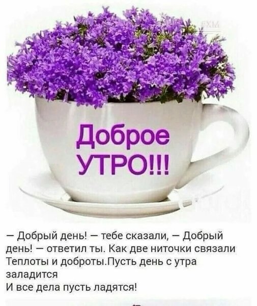 Поздравления с добрым утром и днем