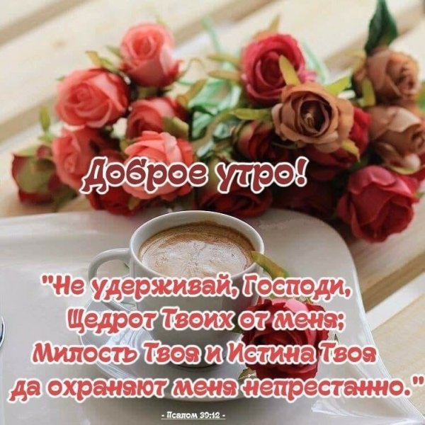 Красивые пожелания с добрым утром и хорошего дня