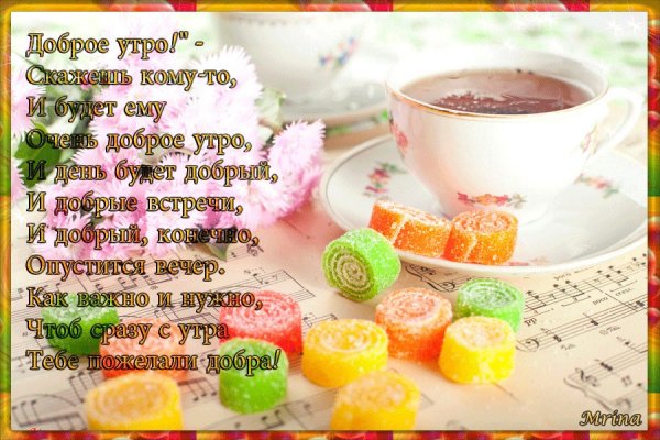 Доброе утро с герберами