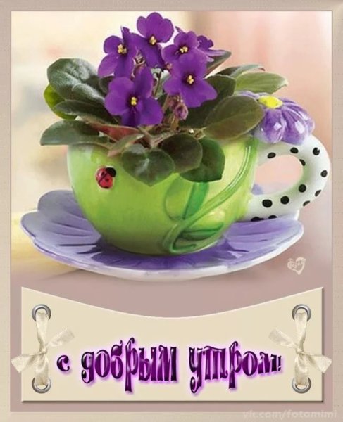 Здравствуй, новый день!