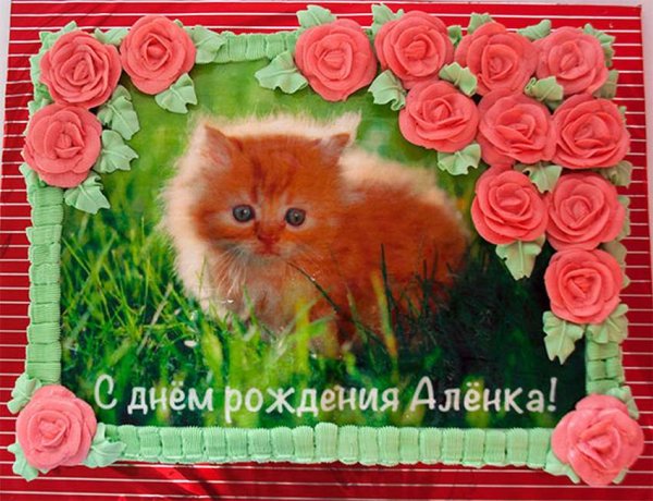 Открытка с днёмрожденияаленка