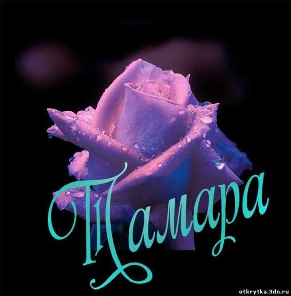 Цветок имени Тамара рододендрон