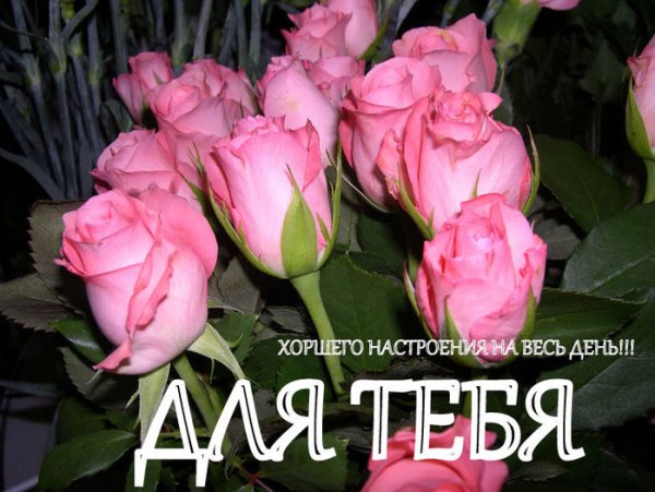 Букет роз для Тамары