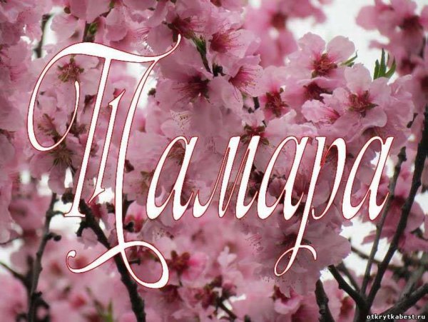 Тамара надпись