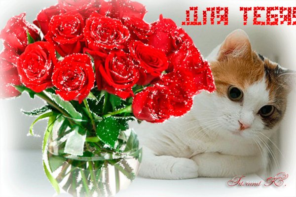 Цветочек для тебя
