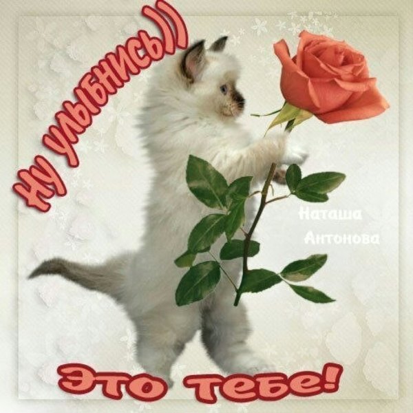 Цветы для Насти