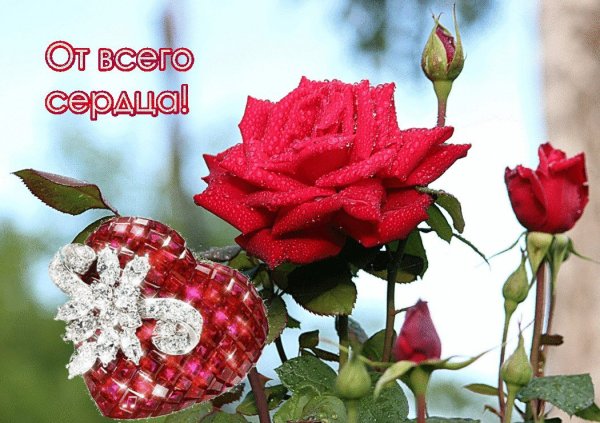 Открытка девушке