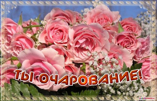 Самой милой и красивой женщине