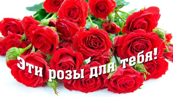 Розы для тебя