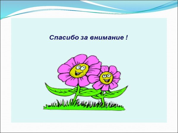 Спасибо за внимание цветы