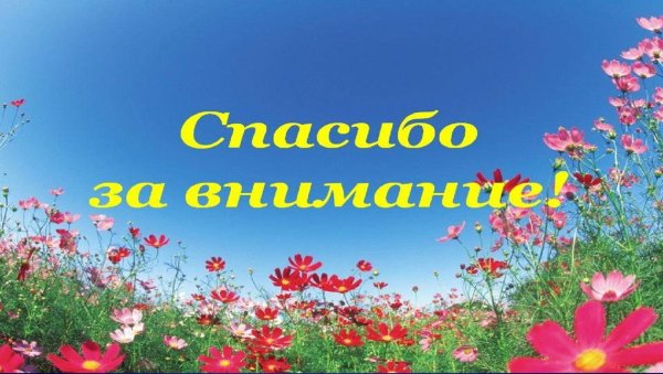 Спасибо за внимание ромашки