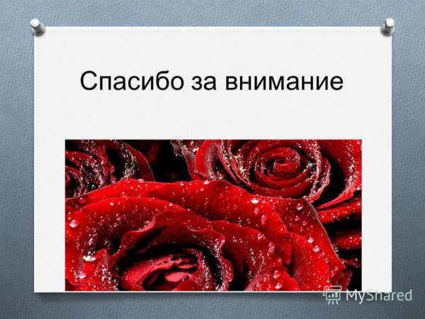 Спасибо за внимание