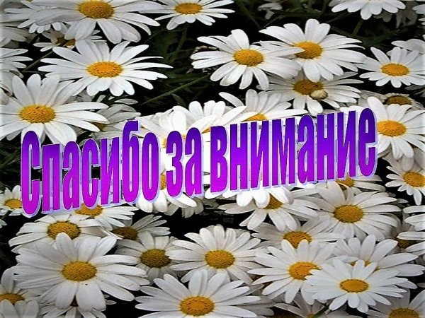 Спасибо за внимание