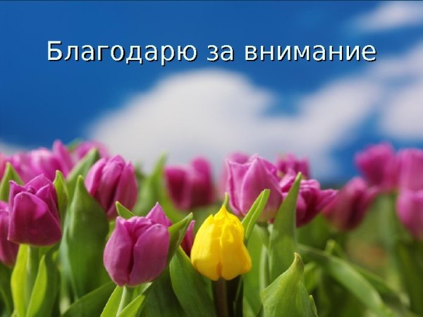 Благодарю за внимание