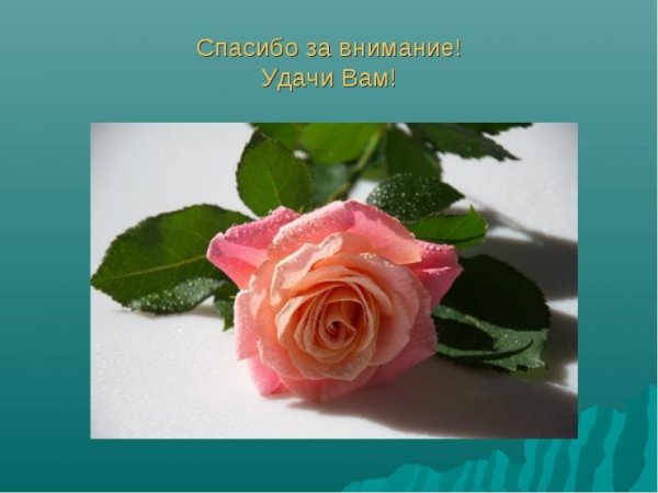 Спасибо за внимание растения