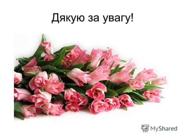 Спасибо за внимание книги