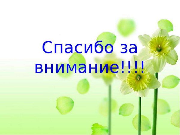 Спасибо за внимание