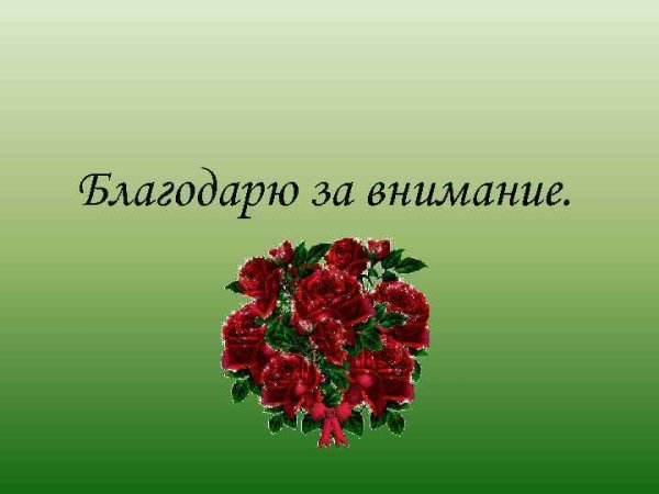 Спасибо за внимание с птичкой