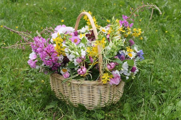 Корзинка с розами