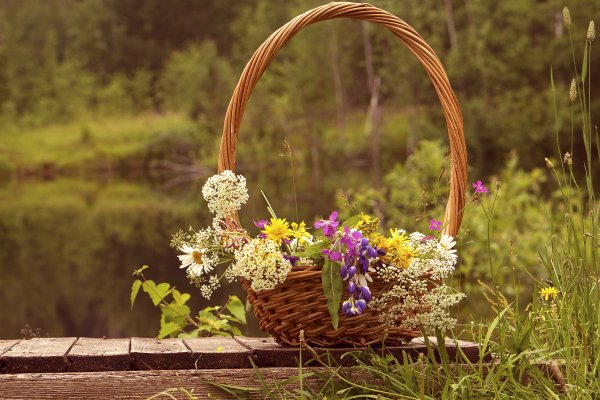 Корзинка с цветами