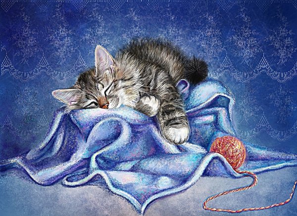 Сладких снов котик