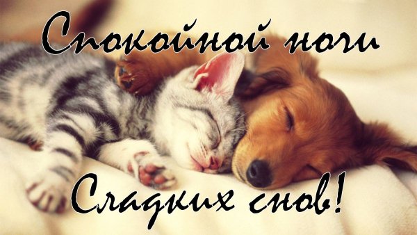 Чудесных снов