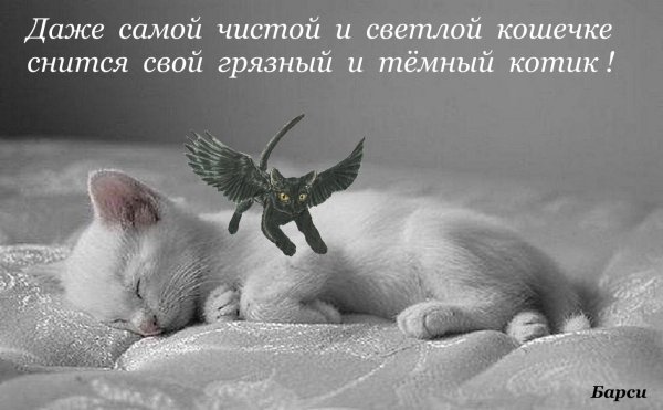 Доброй ночи! Сладких снов! (кот и луна - подушка)