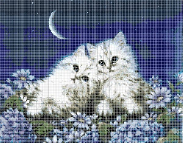Доброй ночи с котятами