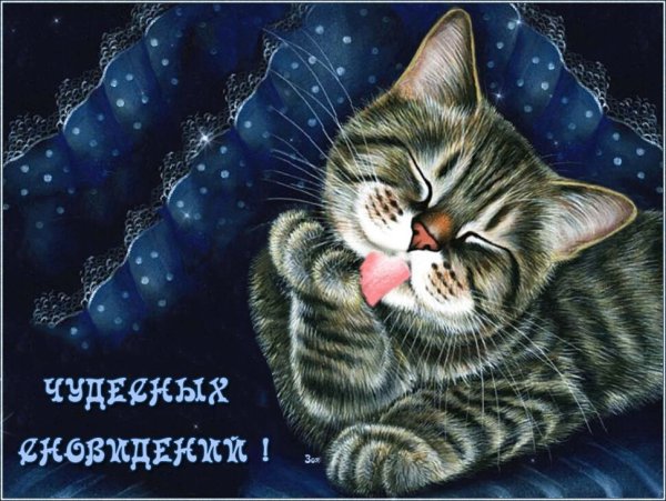 Животные желают спокойной ночи