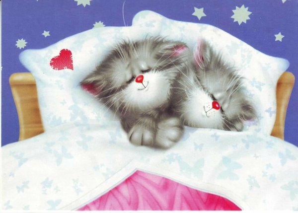 Коты желают спокойной ночи
