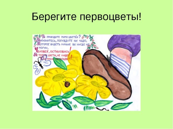 Клумбы для рассады