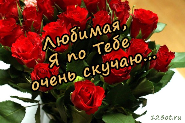 Люблю скучаю цветы