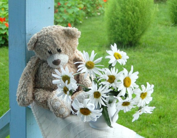 Медвежонок с ромашками